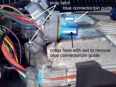 skip3.JPG (26805 bytes)