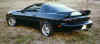 Black Z with Wings West Super Style spoiler