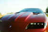 Close up of VFN hood on car to left