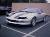 Silver Z with black stripes
