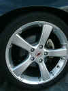 Miglia Evo 18" wheels with 255/35/18 tires