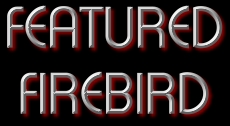 featuredfirebird.JPG (25556 bytes)