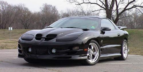 ff01.jpg (27633 bytes)