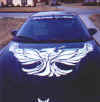 White hood decal