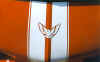 White stripes outline white bird emblem