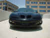 Raptor hood