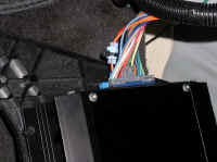 P4030014.JPG (196139 bytes)