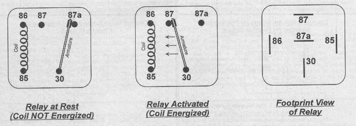 relays.JPG (32573 bytes)